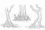 Swamp Draw Swamps Trees Dragoart sketch template