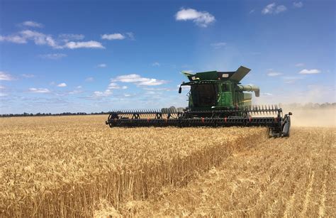 grain harvest operations training  mirage news