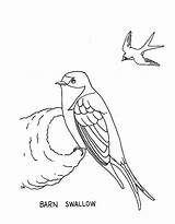 Swallow Barn Coloring Drawing Getdrawings 34kb sketch template