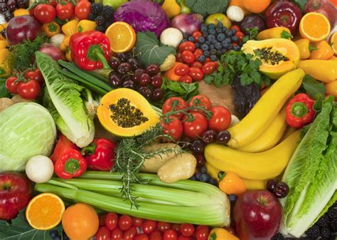 eat  plant based diet   die  malnutrition invictus