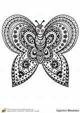 Coloriage Mandala Complexe Superbes Mandalas Papillon Imprimer sketch template