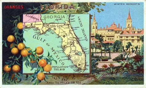 Old Florida Postcard Winter Resort Old Florida Local