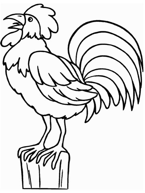 rooster animals coloring pages coloring book