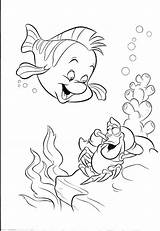 Coloring Sebastian Mermaid Pages Little Flounder Disney Ariel Dora Drawings Drawing Simple Kids Sheets Color Colouring Printable Characters Book Print sketch template