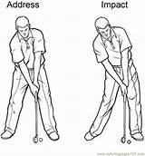 Golf Swing Sequence Coloring Pages Printable Position Impact Improve Perfect Sports Color Tips Equipment sketch template