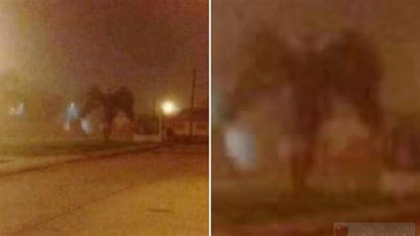 Demon Sighting Picture Goes Viral On Facebook Youtube
