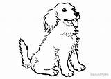 Coloring Pages Dog Spaniel Puppy Springer Color Printable Kids Colorings Getdrawings Getcolorings Cartoon sketch template