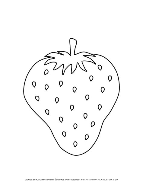 strawberry coloring page planerium