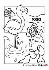 Spanish Preschool Para Rosa Preescolar Color Coloring Colors Pages Elementary Español Inicial Seleccionar Tablero El sketch template