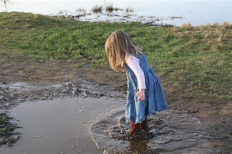 mud puddles photograph  aggy duveen fine art america