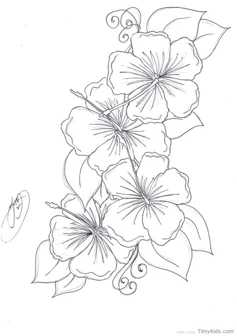 coloring pages  small flowers  printable flower coloring pages
