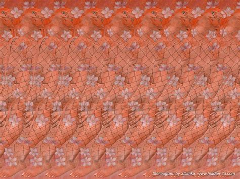stereogram by 3dimka lady in flowers tags sexy nude naked girl