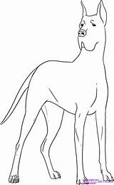 Dane Great Coloring Pages Dog Drawing Draw Mastiff Clipart Google Step Colouring Popular Coloringhome Library Gemt Comments Fra sketch template