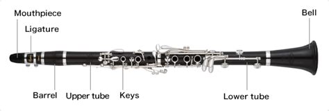 structure   clarinetthe names   part  clarinet