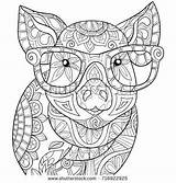 Coloring Pages Sheets Mandala Animal Adult Book Adults Pig Colouring Zen Color Printable Printables Books Coloriage Activities Shutterstock Kids Style sketch template