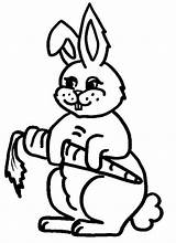 Kelinci Mewarnai Wortel Makan Sketsa Diwarnai Rabbit Colornimbus Mudah sketch template