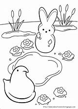 Coloring Peeps Pages Marshmallow Printable Easter Kids Color Preschool Book Bunny Sheets Marshmallows Hopscotch sketch template