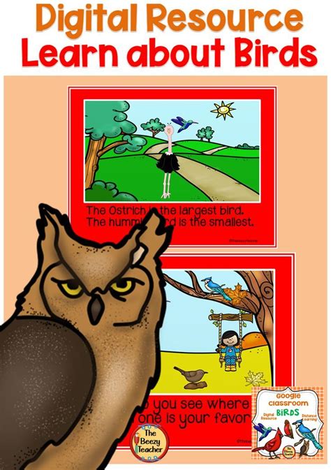 bird fact booklet digital resource distance learning google classroom