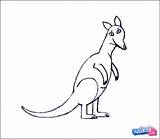 Wallaby Draw Step Kids Hellokids Drawing sketch template