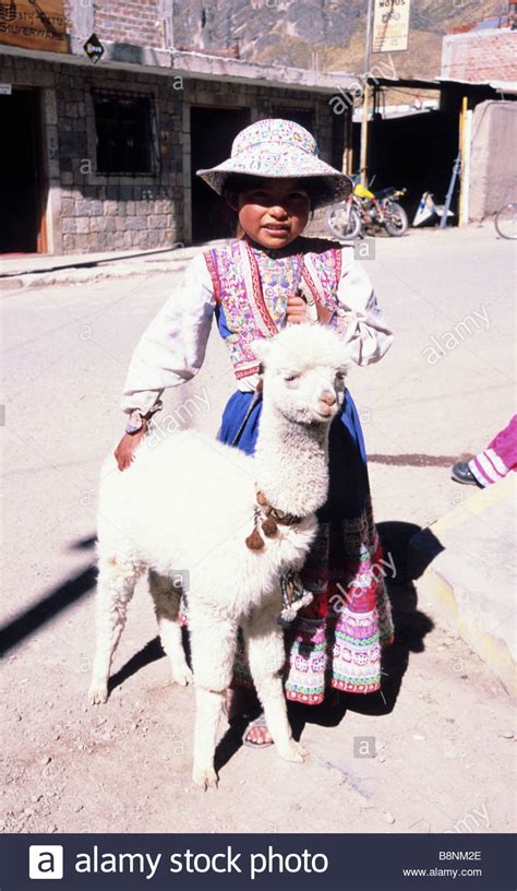Una Joven Niña Peruana Posando Con Su Mascota Llama Chivay El Cañón