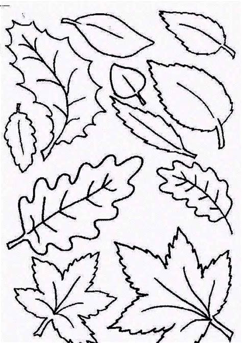 type  fall leaf coloring page leaf coloring page fall leaves