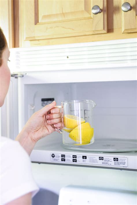 clean  microwave  lemon  nest