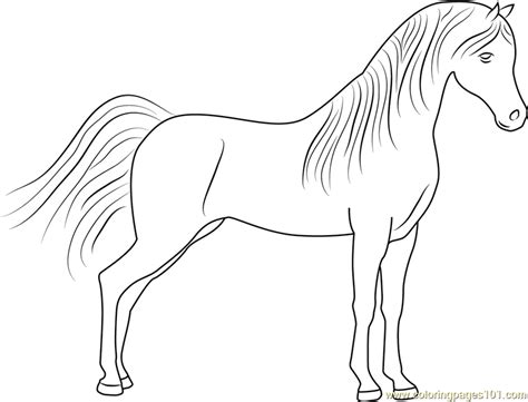 cute horse coloring page  kids  horse printable coloring pages