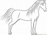 Horses Coloringpages101 Template sketch template