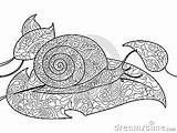 Snail Coloring Vector Adults Book Zentangle Adult Illustration Stress Anti Lines Lace Style Dreamstime Pattern sketch template