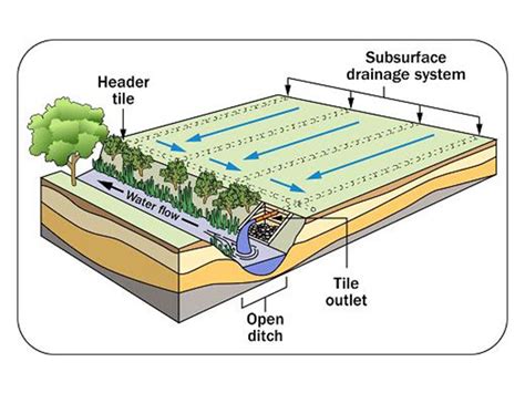 drainage system costa sports systems pvt