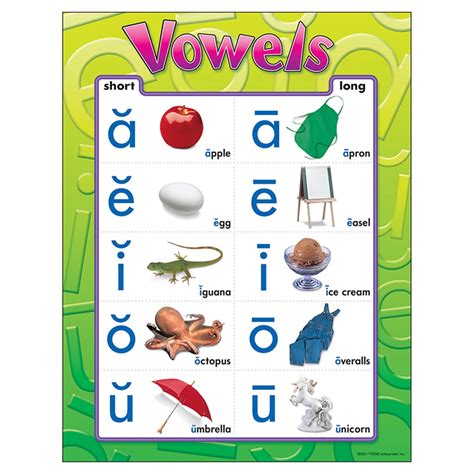 vowels learning chart trend enterprises     ebay