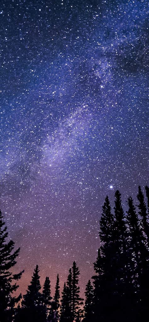 nl59-night-starry-sky-aurora-winter-wallpaper