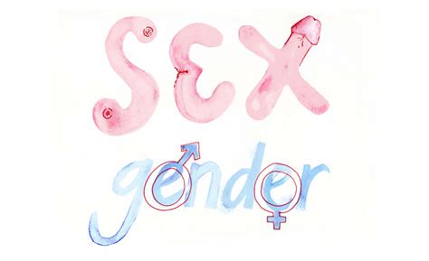 Sex And Gender Drawing The Times