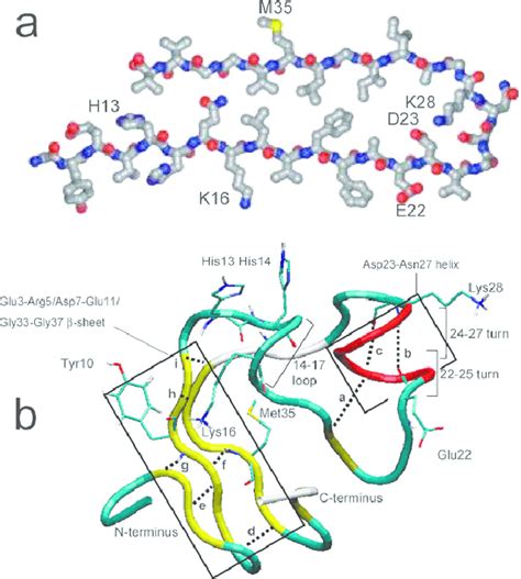 ab monomer structure   exists   fibril adapted   scientific
