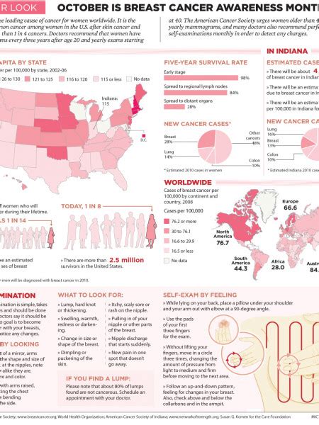 breast cancer statistics infographics visual ly