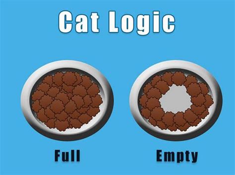 things only cat owners could possibly understand