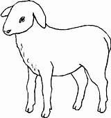 Fattoria Disegni Bojanke Zivotinje životinje Crtezi Domace Domaće Krava Farma životinja Domaća Coloratutto sketch template