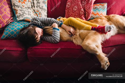 Дівчина спить на дивані з золотим собакою ретривером — ласкава
