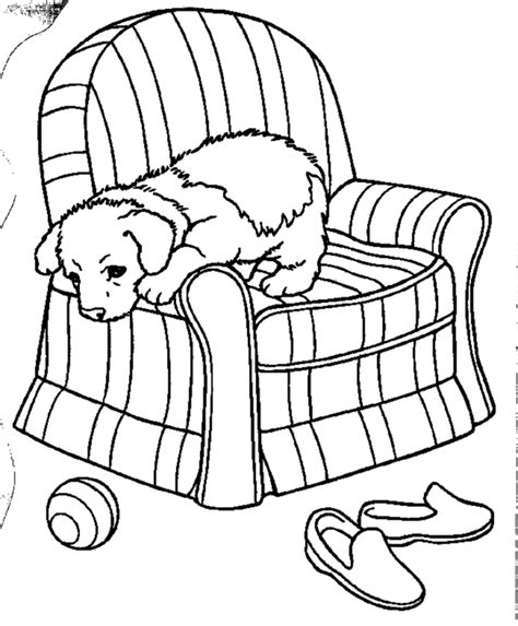 lab puppy coloring book pages cooloringcom
