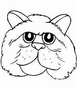 Katzen Chat Toupty Servir Fonctionnent Navigateur Boutons Peux Dessus sketch template