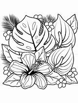 Adultos Planten Hibiscus Madamteacher Visit Gaddynippercrayons sketch template
