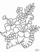 Coloring Monstera Pages Bouquet Hibiscus Leaves sketch template