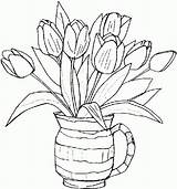 Coloring Color Tulip Pages Flower Colouring sketch template
