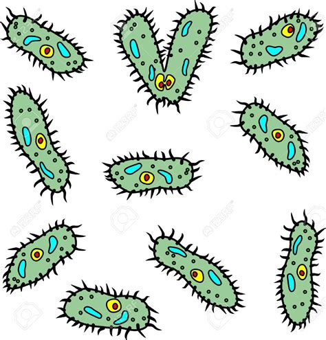 bacteria presentation name on emaze clipart wikiclipart clipartpost