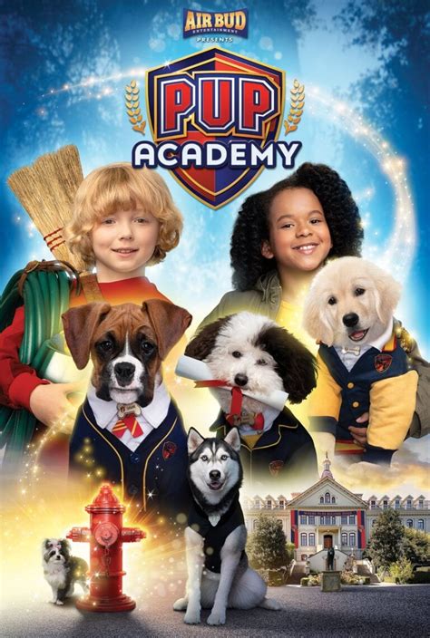 reasons   pup academy   quarantine film daily