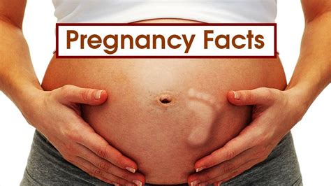 10 Weird Pregnancy Facts That You Probably Didn’t Know Youtube