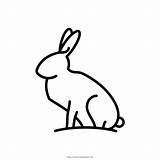 Lepre Hare Colorear Liebre Conejo Stampare Ultracoloringpages Vectorified sketch template