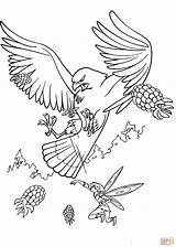 Hawk Coloring Pages Tinkerbell Red Tailed Printable Big Book Coloriage Drawing Books Colouring Color Print Fairy Info Disney Skip Main sketch template
