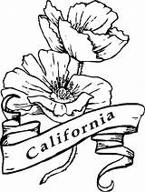 California Coloring Poppy State Pages Drawing Flower Symbols Californian Symbol Utah Kids Line Tree Color Colouring Mission Getdrawings Getcolorings Printable sketch template