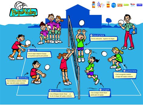 Diferencias Entre Wally Y Voleibol Reglas Equipos Y Objetivos